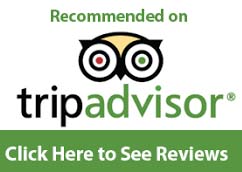 Trip Advisor Reviews Logo
