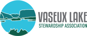 VSLA Logo