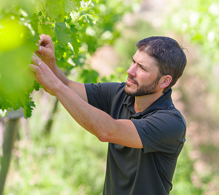 Harvest Work Day - Signature Event