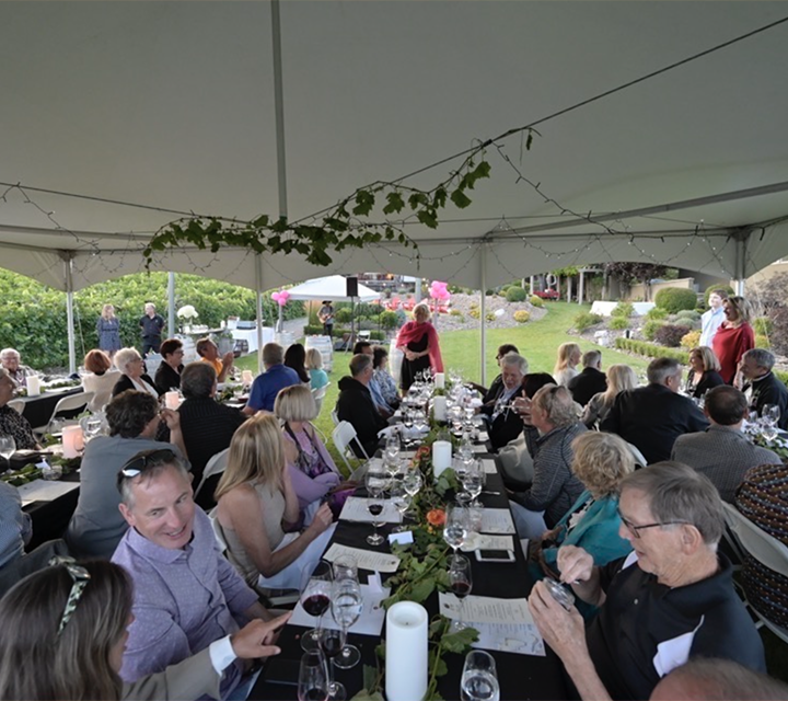 Vine Dining - Signature Event
