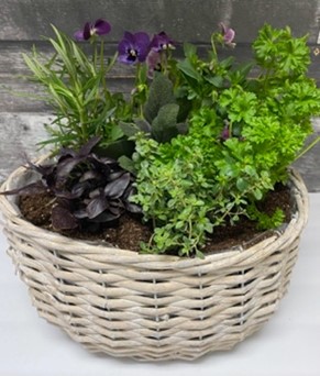Plant.Create.Grow with Sahara Garden Art - Indoor Herb Garden Box or Basket Planter