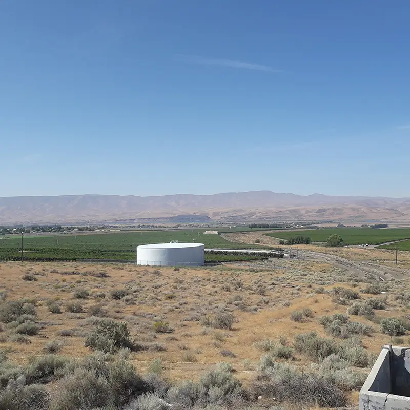 Wahluke Vineyard