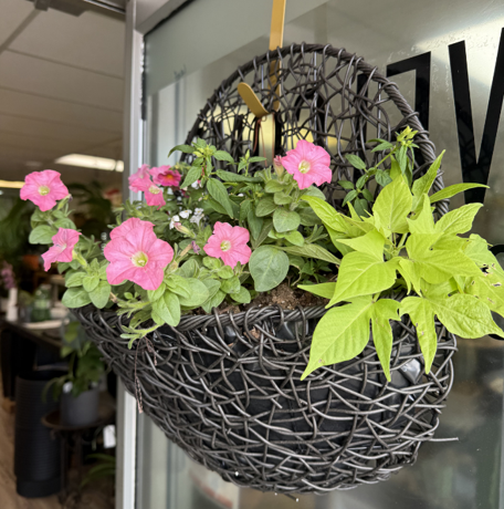 Polinator Wall Planter Workshop and Wine